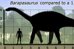 巴拉帕龙:最晚发现的蜥脚类恐龙(长18米