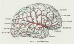 人类的大脑其实很可怕 不会感到疼痛还会