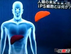 科学研究人体器官再生，缺胳膊少腿可以长复原(再生不再是梦)