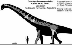 巨型泰坦巨龙:富塔隆柯龙 体长最多34米