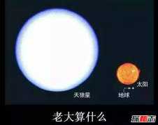 天狼星是否比太阳大？天狼星的质量是太