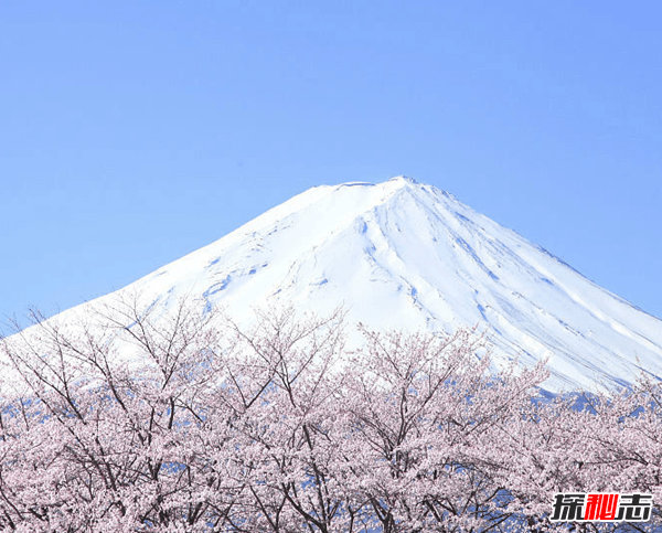 富士山下为什么恐怖?自杀死亡人数成百上千