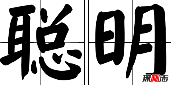 大开眼界!世界上最聪明的十二种动物,海狮有较强的逻辑思维能力