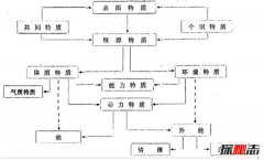 卡特尔人格特质理论 卡特尔16种人格特质