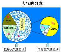 两次大氧化，为地球带来了怎样的影响？