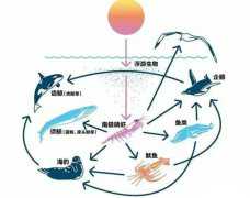 在鲸鱼腹中是种什么感觉？一个手无寸铁