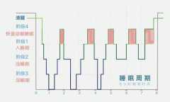 我们到底因为什么才会做梦？（跟大脑的