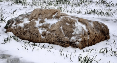 永远没有积雪的古墓 盗墓贼自称遇到女鬼