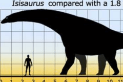 伊希斯龙:最后的植食性蜥脚类恐龙(长1