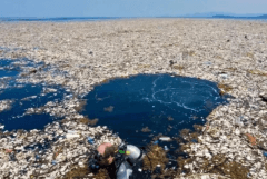 水污染的危害：毒死水生生物（对人体造成危害）