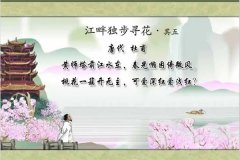 江畔独步寻花的意思：一首诗的名字（杜甫所作）