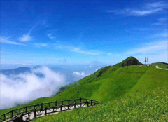 主人让轿夫抬狗上山 居然被键盘侠攻击侮