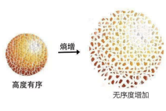 熵增定律太可怕了!地球万物仅一个定律就