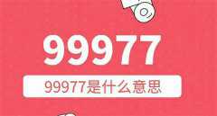 99977的真正含义是什么 99977代表了什么