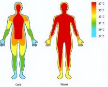一个人的寿命 居然和自己的身体温度有关